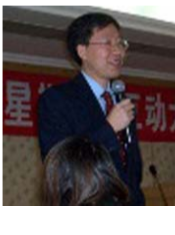 石杨